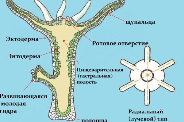 Как восстановить пароль кракен