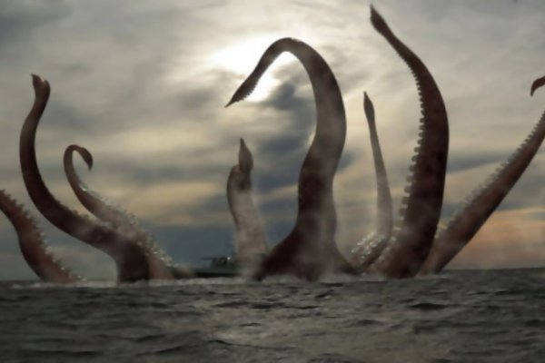 Как заходить на kraken через тор правильно