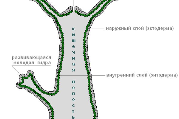 Кракен актуальное зеркало