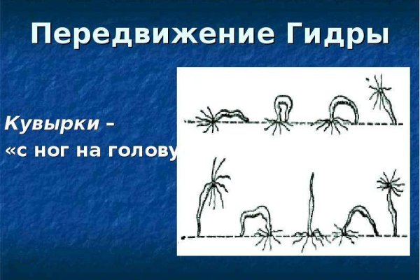 Kraken ссылка официальная