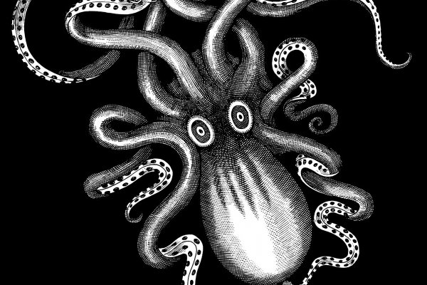 Новая ссылка на kraken 2022 август